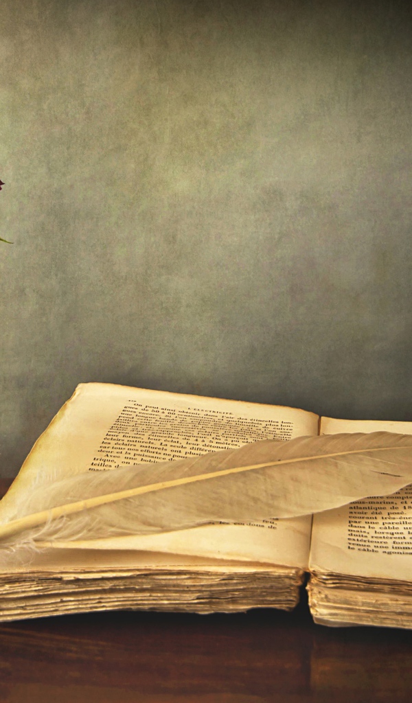 Старая книга на столе с пером и розой в вазе