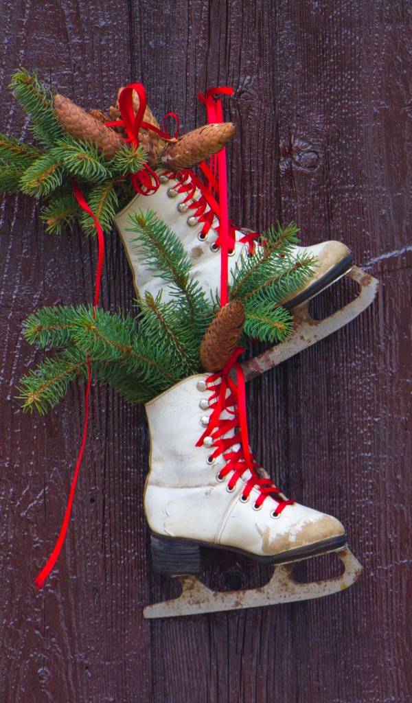 Старые коньки с еловыми ветками на двери 