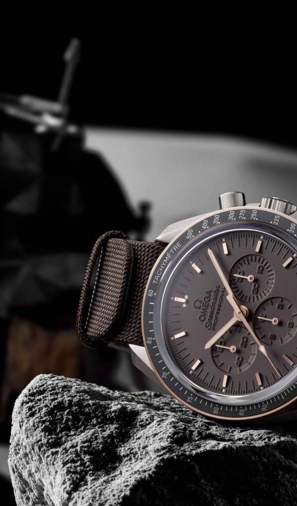 Мужские наручные часы Omega NASA лежат на камне