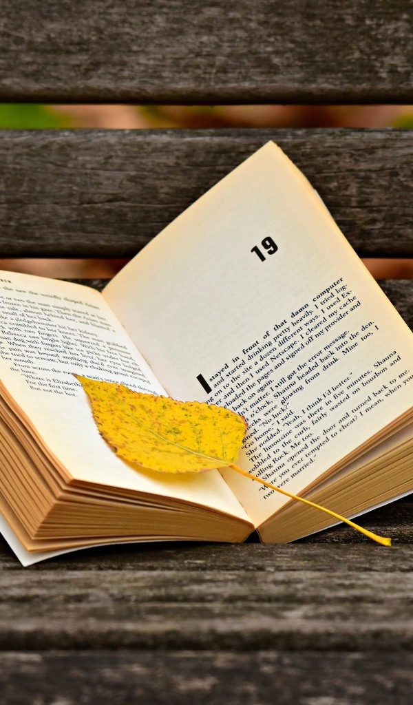 Открытая книга с желтым листом на лавке 