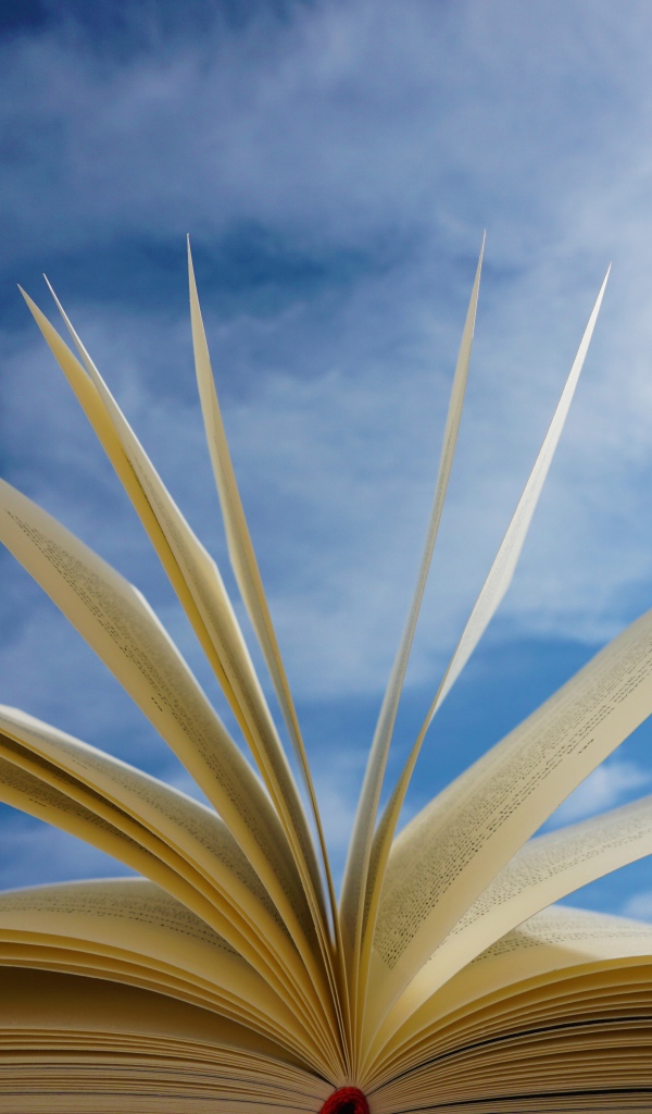 Открытые страницы книги на фоне голубого неба