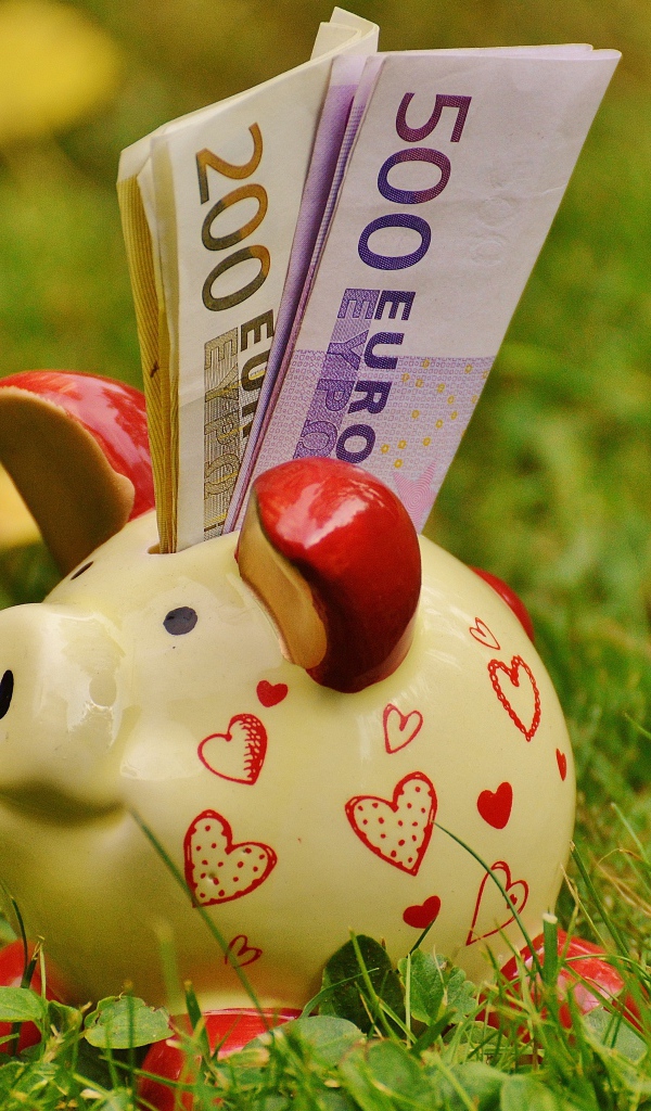 Свинья копилка с купюрами евро на траве