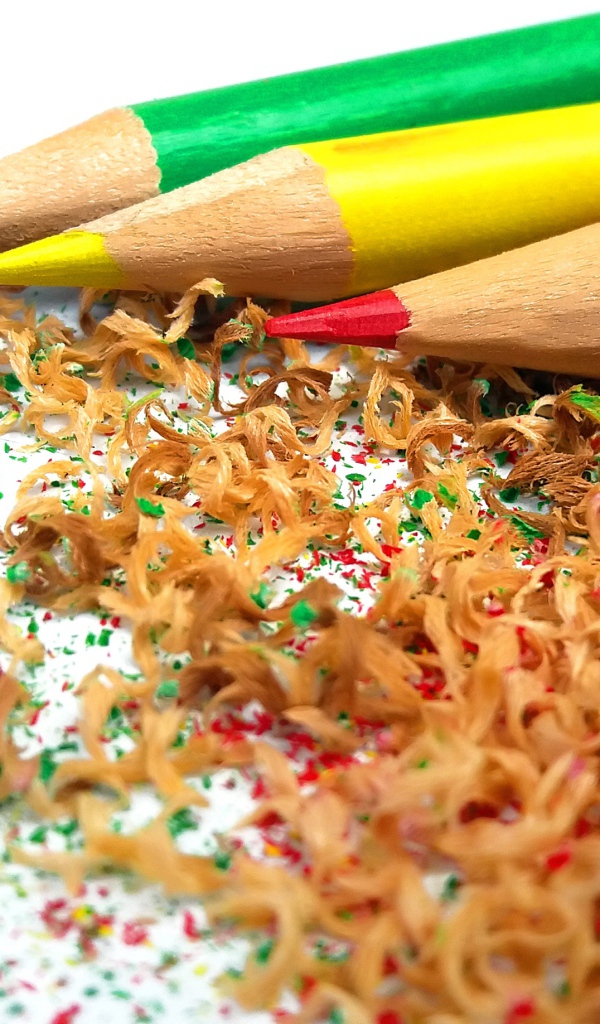 Sharp sharpened pencils with shavings on a white background