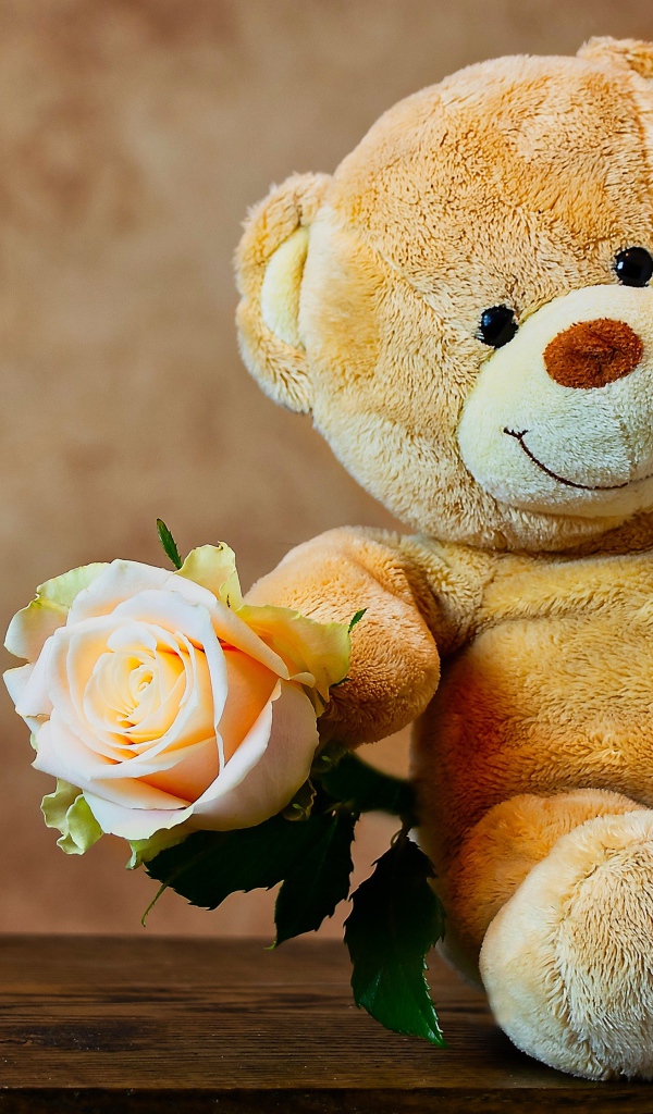 Медвежонок Тедди с розой за шторой 