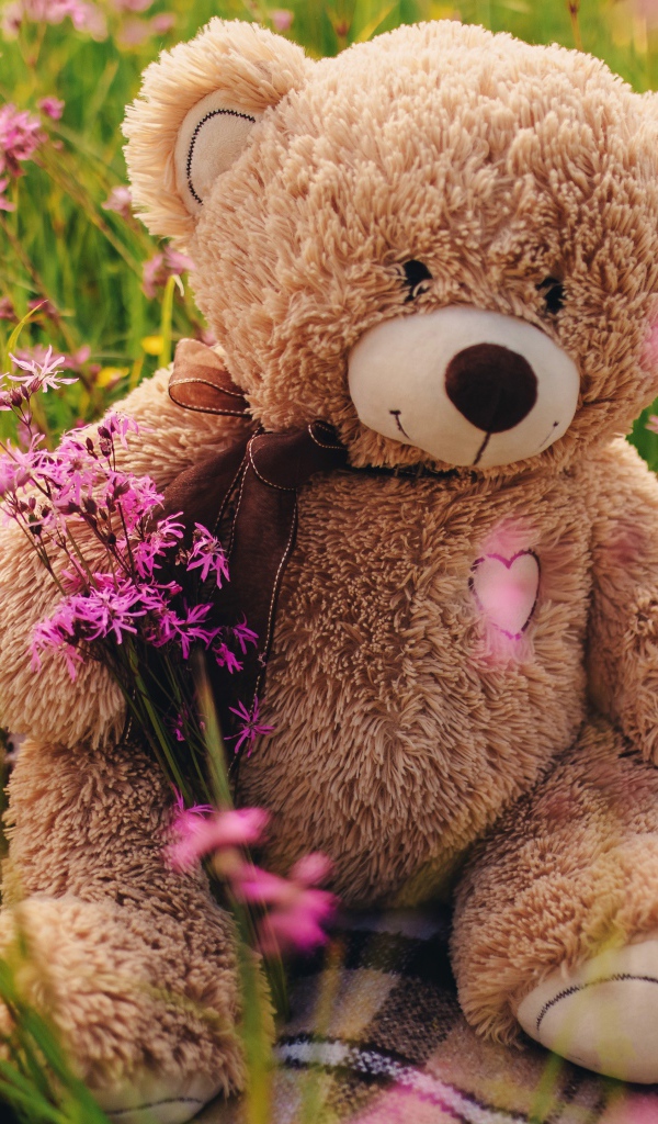 Медвежонок Тедди сидит в зеленой траве 