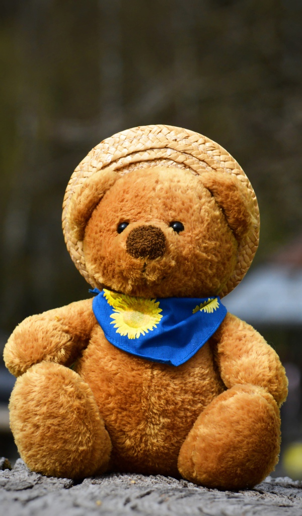 Плюшевый медвежонок в шляпе на земле 