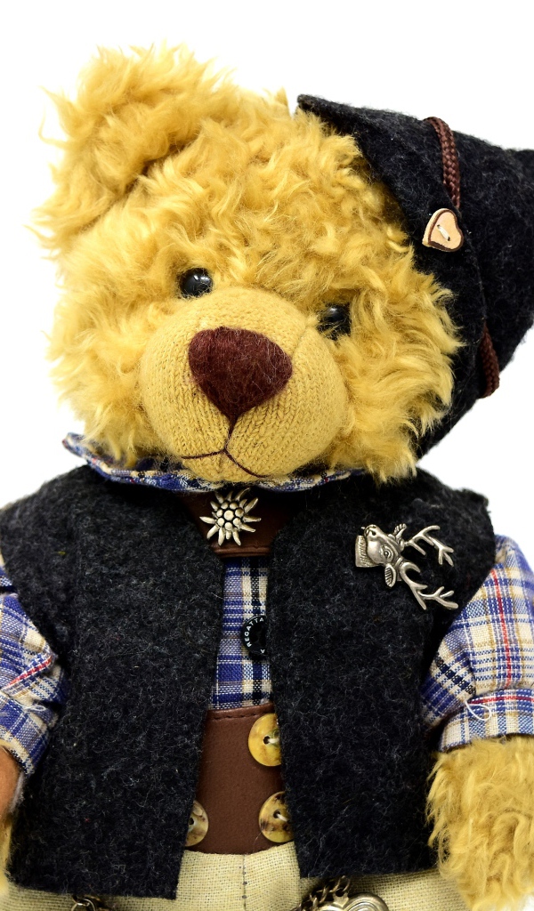 Медвежонок Тедди в костюме на белом фоне