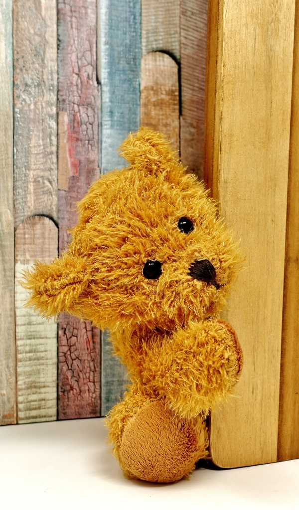 Медвежонок Тедди выглядывает из-за двери 