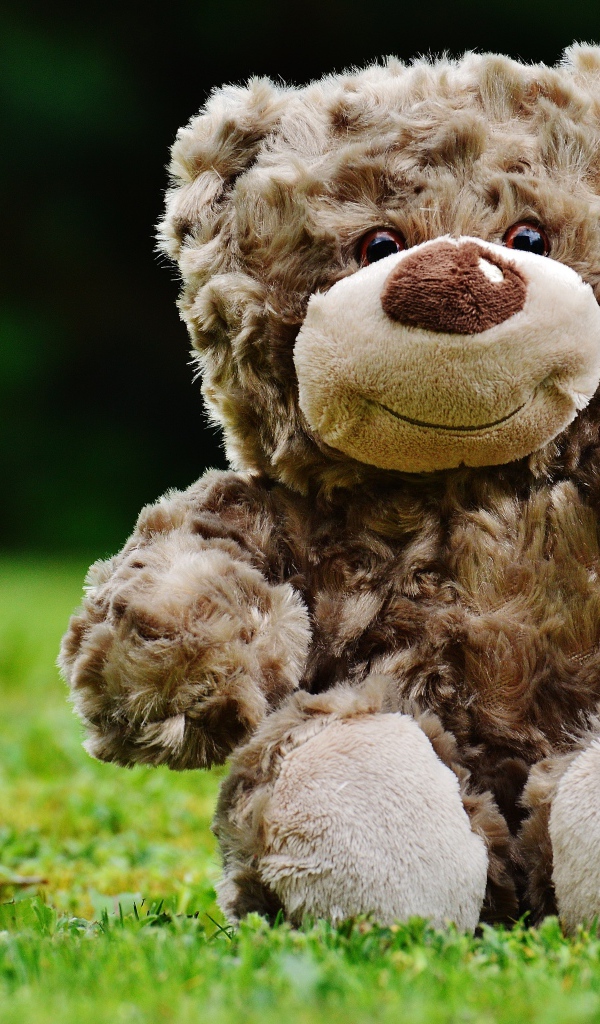 Игрушечный медвежонок сидит на зеленой траве