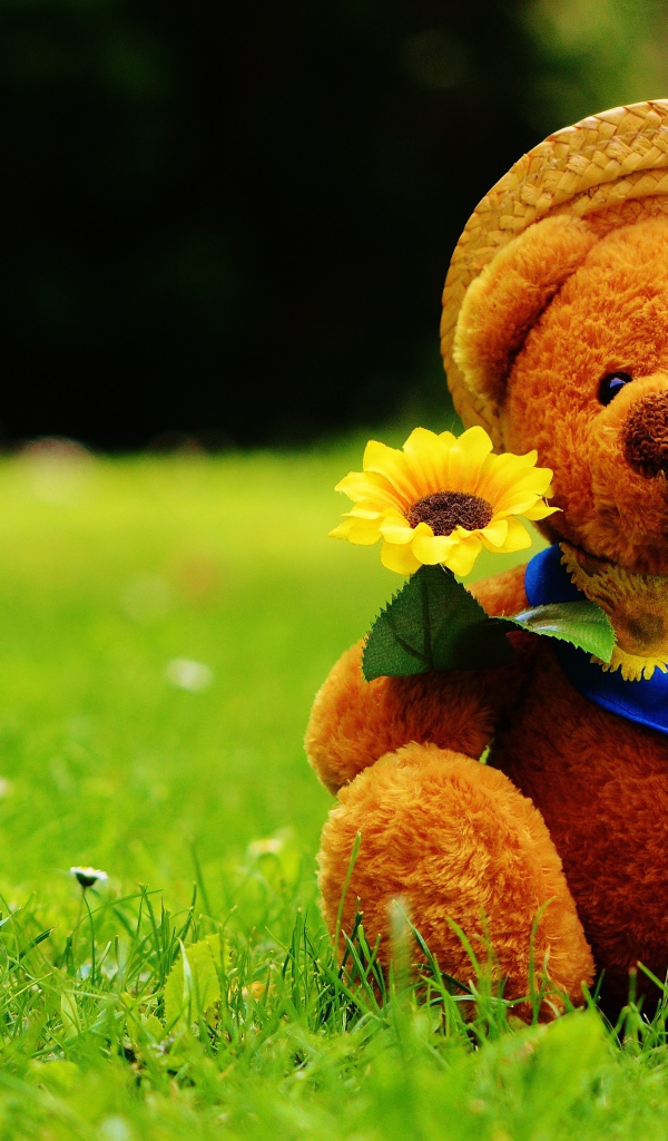 Мишка Тедди с цветком сидит на зеленой траве