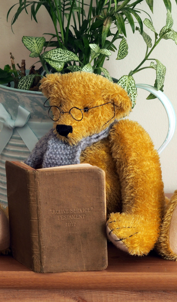 Медвежонок Тедди в очках с книгой на полке