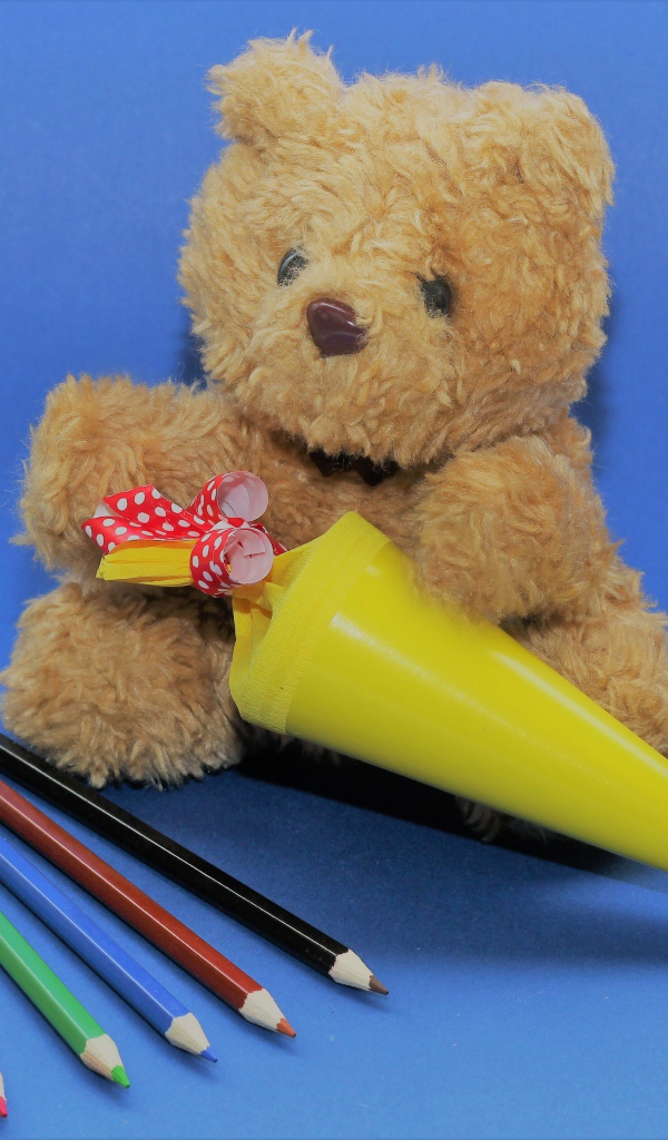 Teddy bear with pencils on blue background