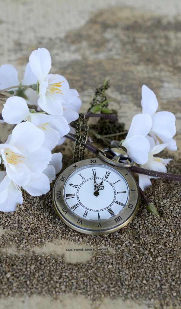 Часы лежат на земле с цветущей веткой 