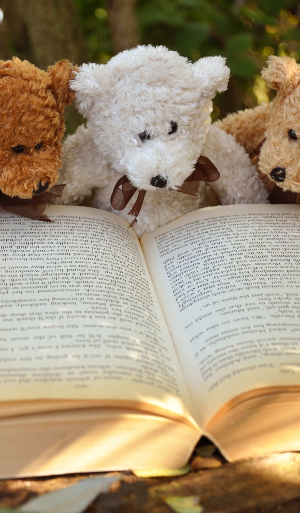 Три медвежонка Тедди читают книгу в парке
