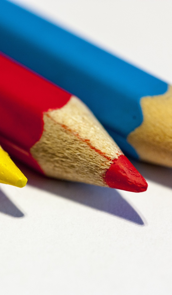 Три разноцветных карандаша на белом фоне