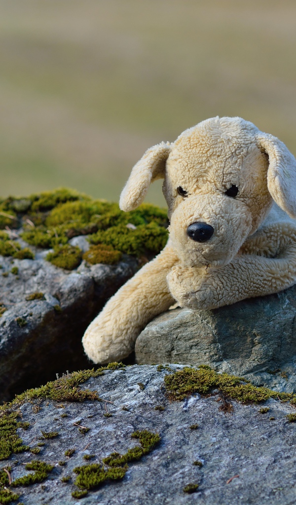 Игрушечная собака лежит на камне  