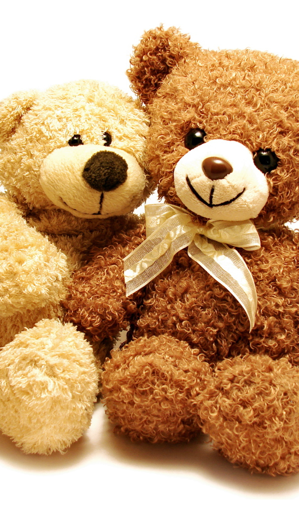Два медвежонка Тедди на белом фоне