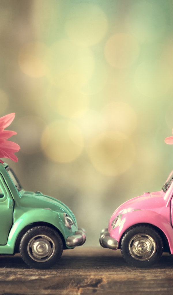 Две игрушечные машинки с цветами розовой хризантемы