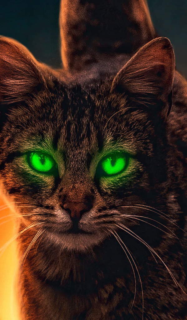 Серый зеленоглазый кот с бабочками