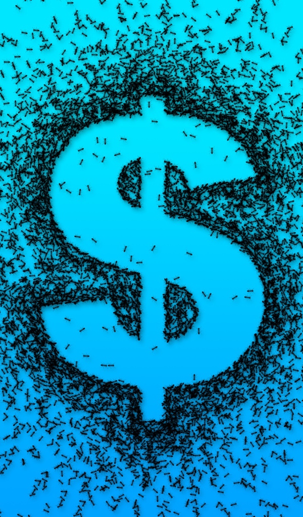 Dollar sign with black ants on a blue background
