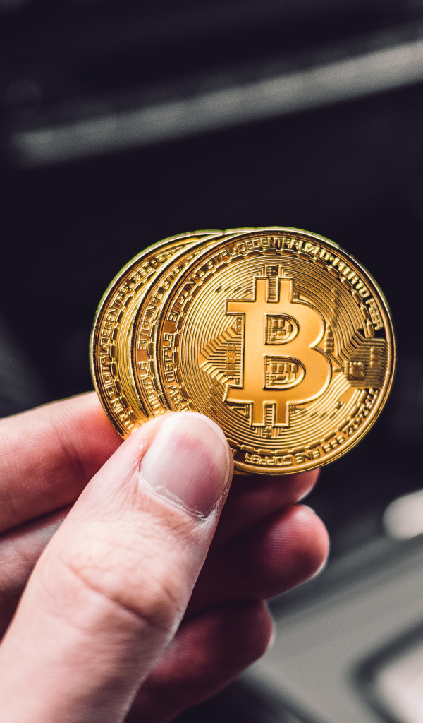 Две монеты биткоин в руке 