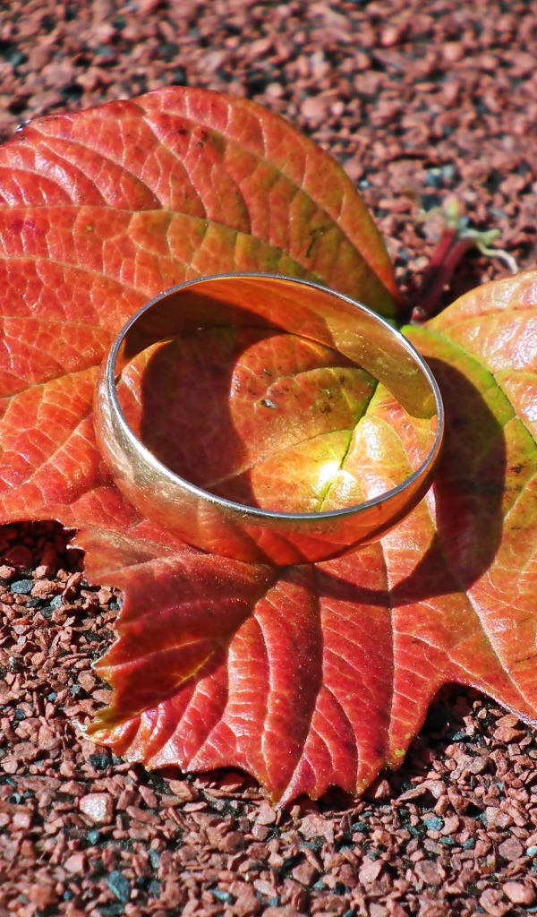 The silver ring lies on an orange leaf