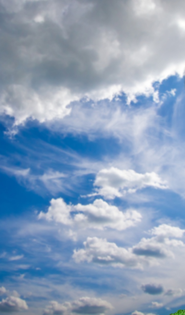 Монета биткоин стоит на камнях на фоне неба