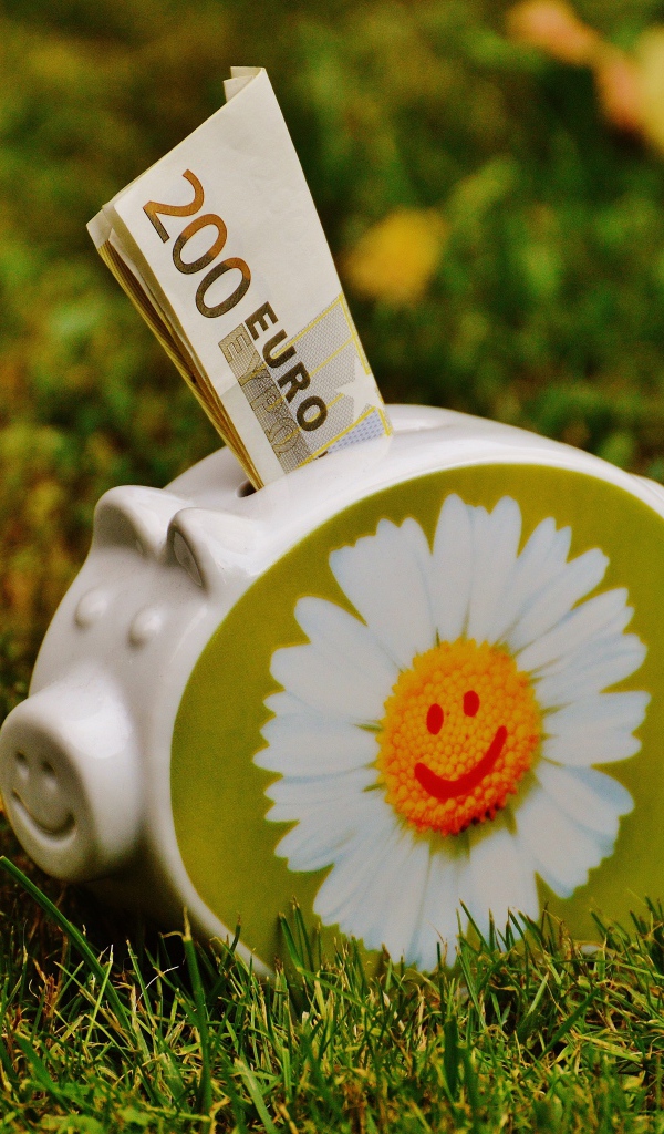 Купюры евро вставлены в свинью копилку с рисунком ромашки