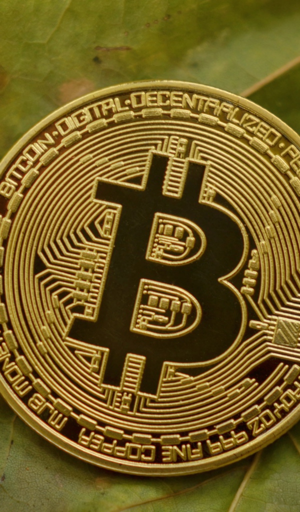 Золотая монета биткоин лежит на зеленом листе