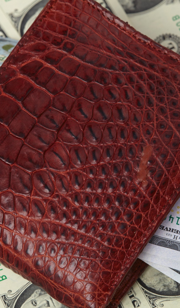Кожаный кошелек с долларовыми купюрами