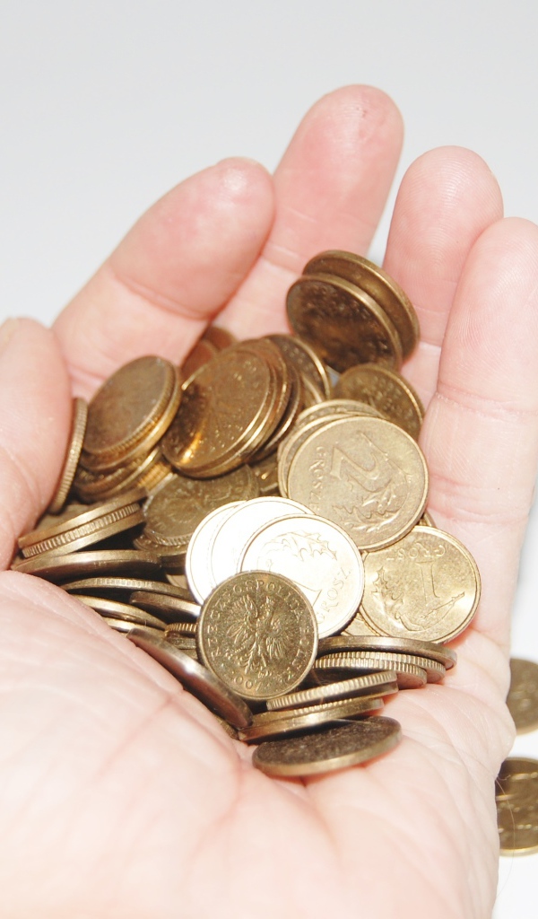 Много монет в ладони 