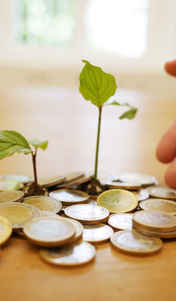 Монеты один евро с ростками на столе 
