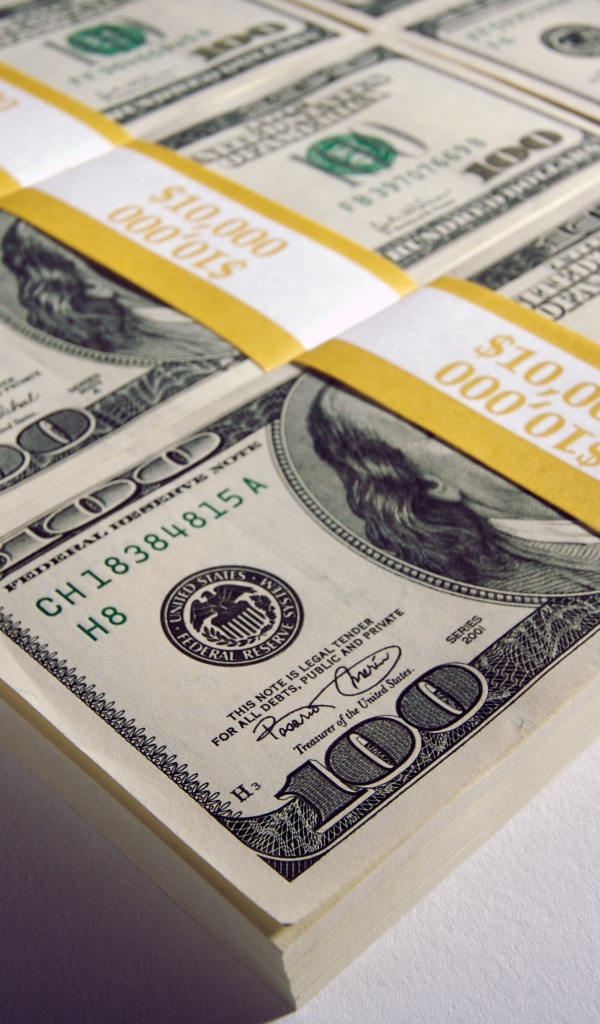 Пачки денег со сто долларовыми купюрами