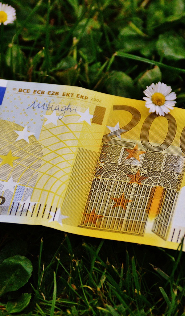 Two hundred euro bill lies on green grass