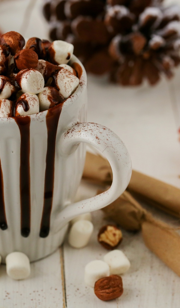 Чашка горячего шоколада с маршмеллоу и корицей 