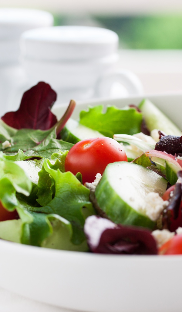 Аппетитный салат со свежими огурцами, помидорами и сыром