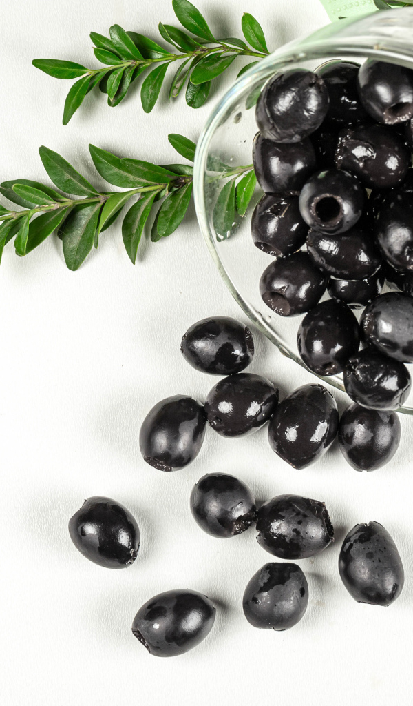 Black olives with rosemary on white background