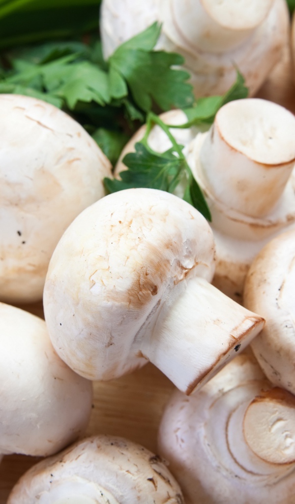 Шампиньоны крупным планом на столе 