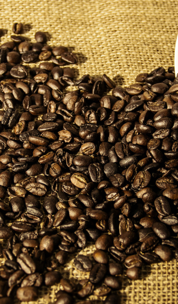 Кофейные зерна высыпаются из белой чашки 