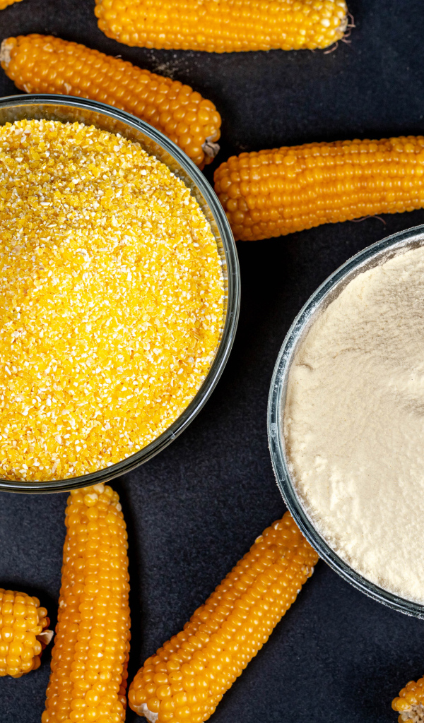 Кукурузные кочаны на столе с кашей и мукой