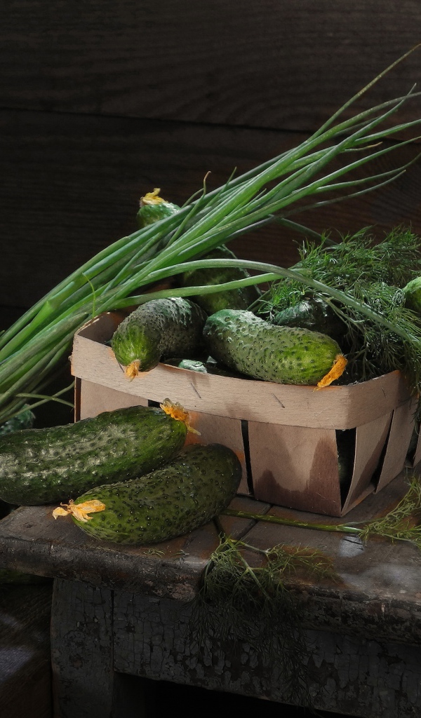 Свежие огурцы на столе  с зеленым луком и укропом