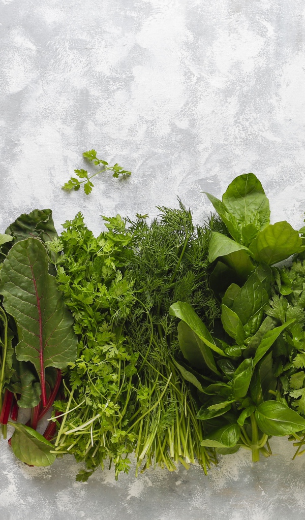 Свежая ароматная зелень на столе 