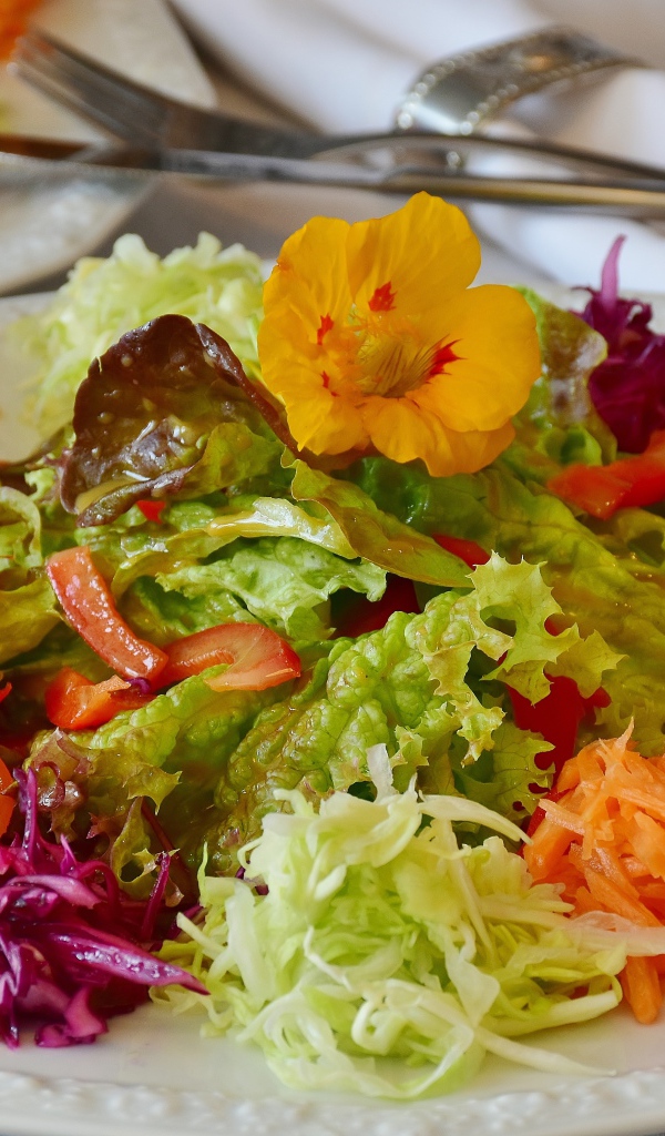 Салат из свежих овощей и зелени на большой белой тарелке 