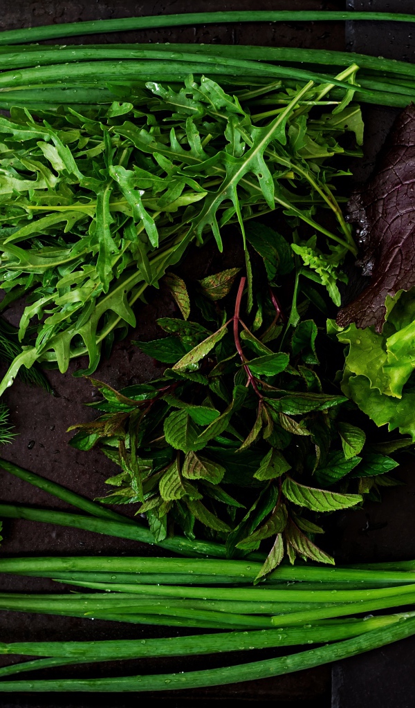 Свежая мокрая зелень лежит на столе 