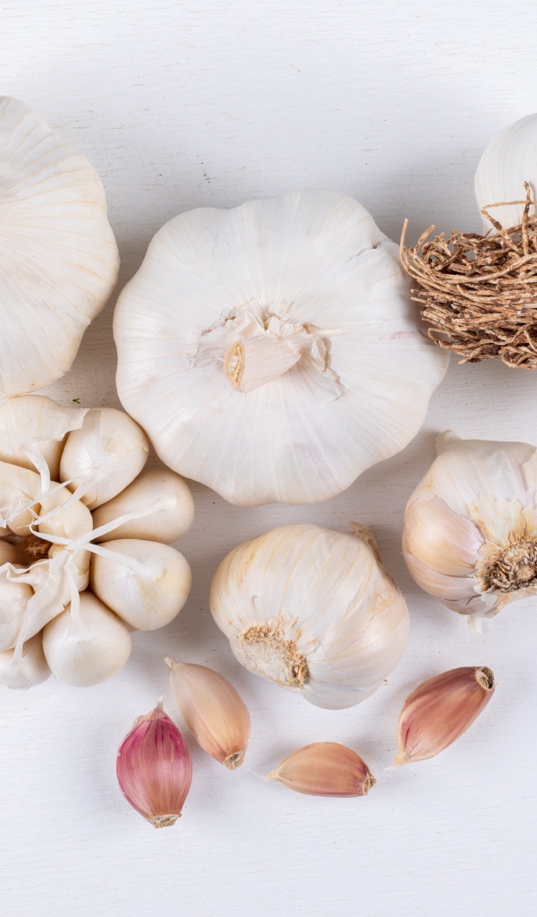 Чеснок на белом фоне крупным планом 