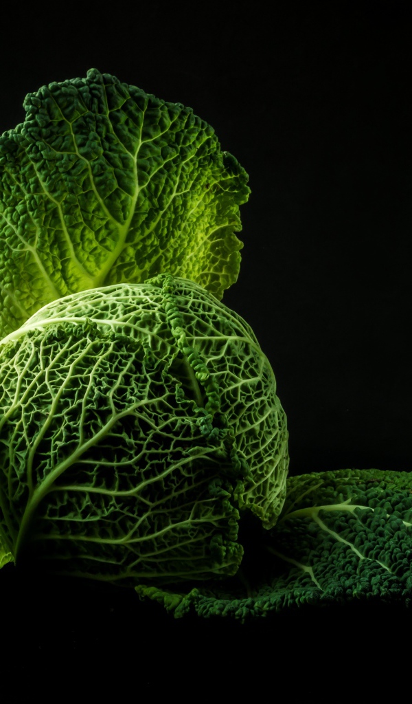 Зеленая капуста на черном фоне крупным планом