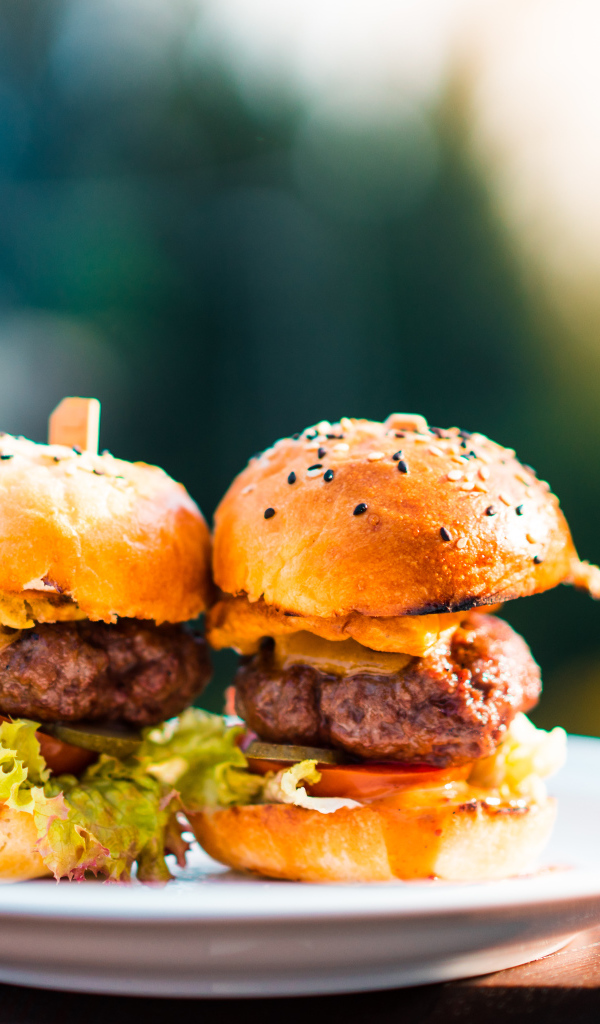 Гамбургеры с сочной котлетой на тарелке 