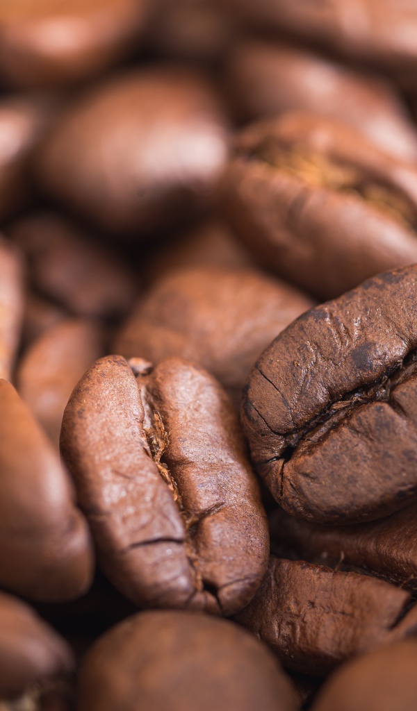 Крупные ароматные обжаренные кофейные зерна 