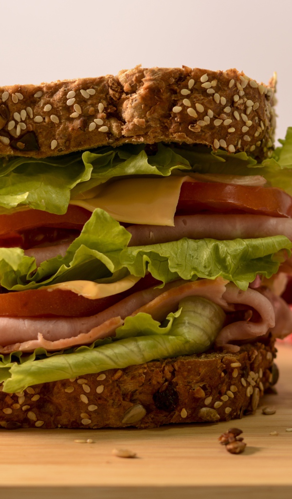 Large sandwich with ham, cheese, tomatoes and lettuce