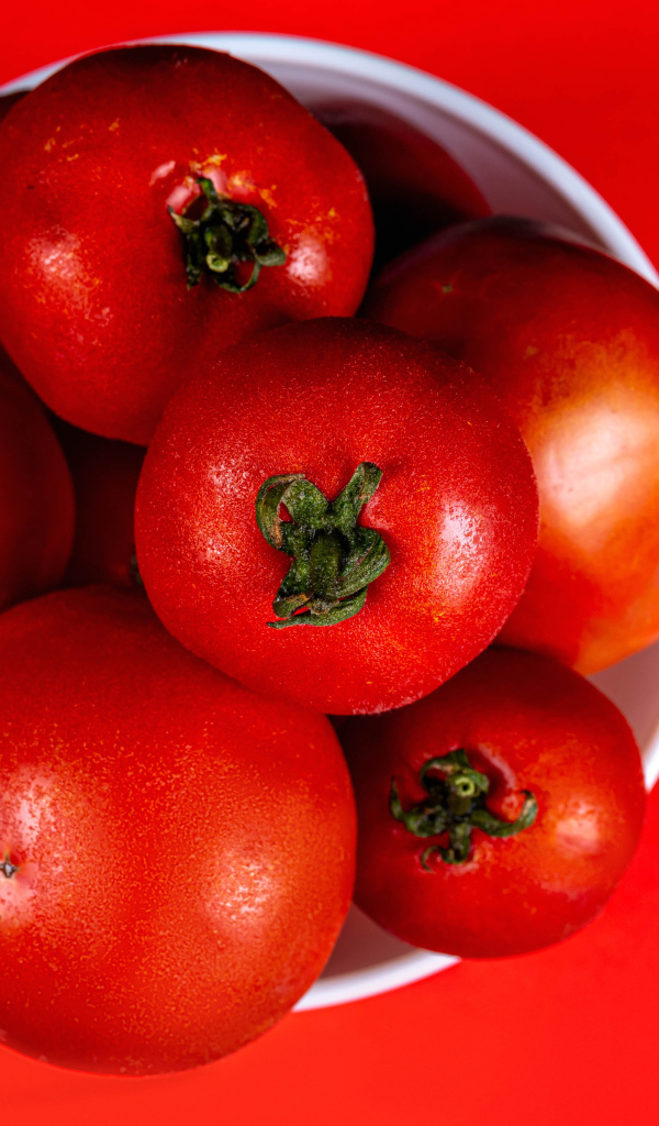 Крупные помидоры в белой миске на красном фоне